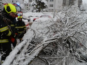 Odstranění stromu z vozidel - 1.3.2016